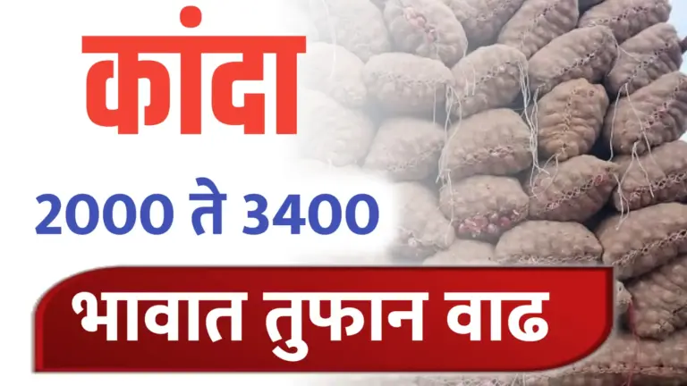 Onion rate ; कांदा भावात सुधारणा, पहा आजचे ताजे कांदा भाव