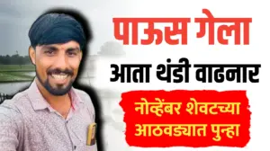 पाऊस गेला आता थंडी वाढनार, पण नोव्हेंबरच्या शेवटच्या आठवड्यात पुन्हा पाऊस ; तोडकर