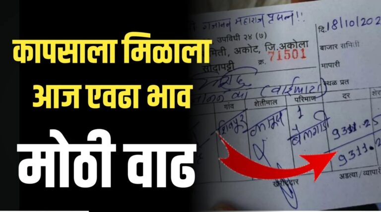 Cotton Rate ; कापसाला सध्या काय भाव मिळतोय..पहा